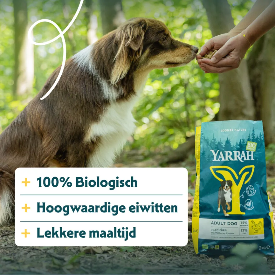 Yarrah biologisch hondenvoer adult kip 2 kg, foto 3