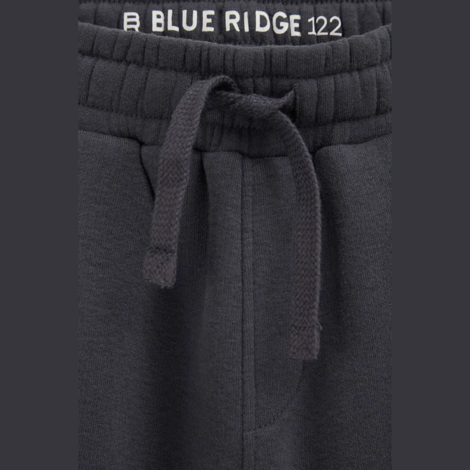 WE Fashion Blue Ridge loose fit joggingbroek antraciet, foto 5