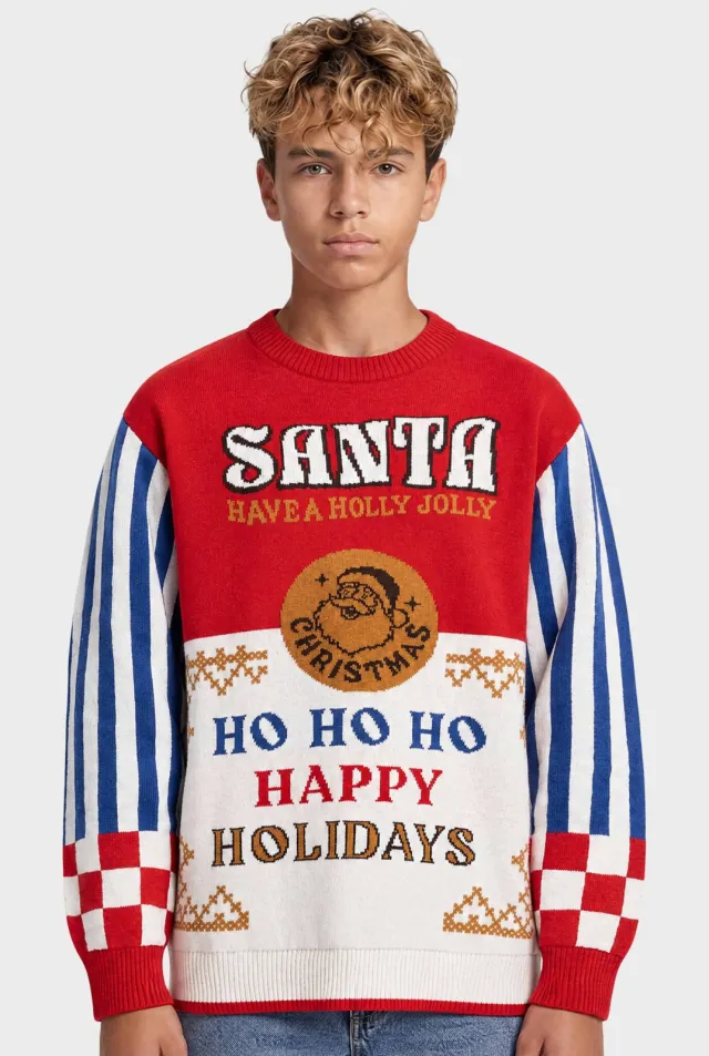 Redefined Rebel sweater met tekst - rood/blauw/wit, foto 4