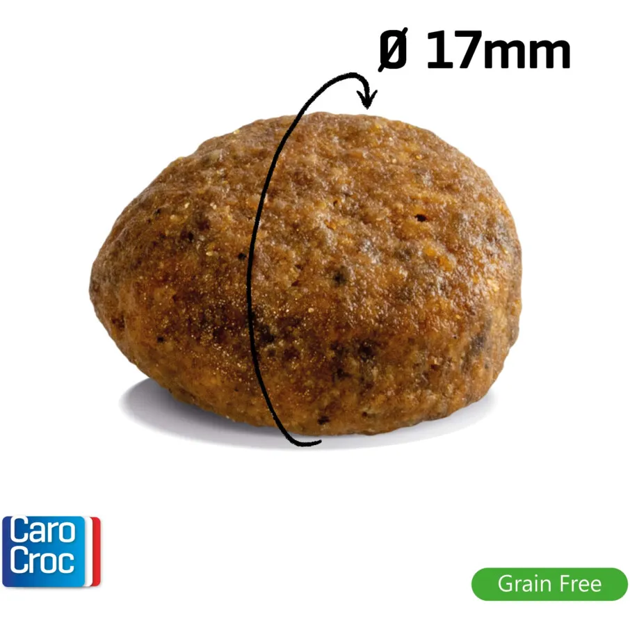 CaroCroc Grain Free hondenvoer droog, foto 2