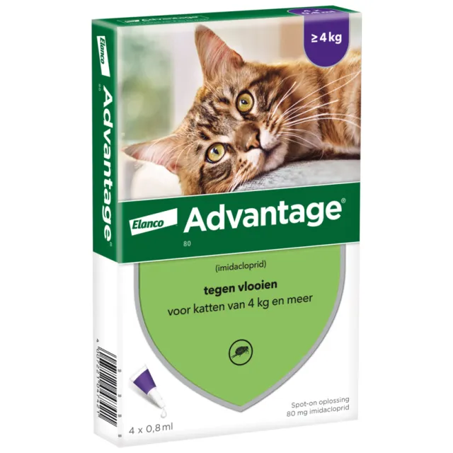 Advantage Kat 80 anti vlooiendruppels