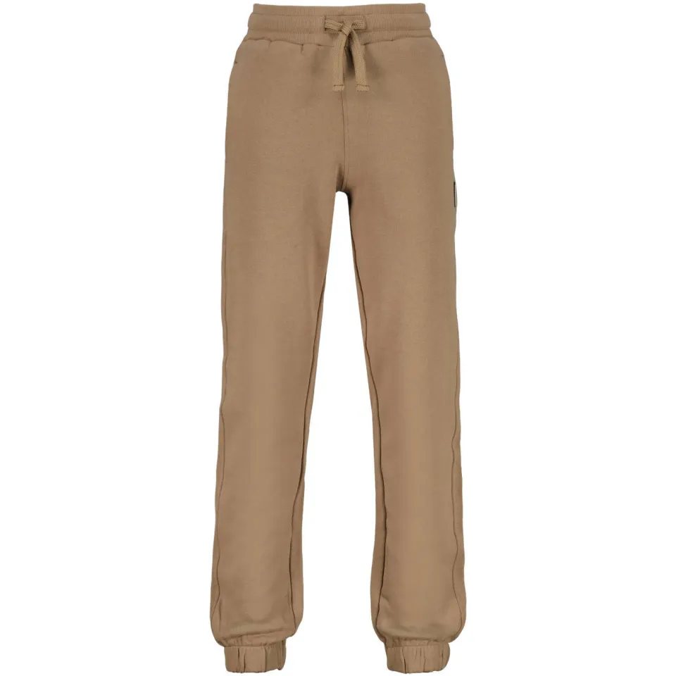 Raizzed regular fit joggingbroek camel, foto 2