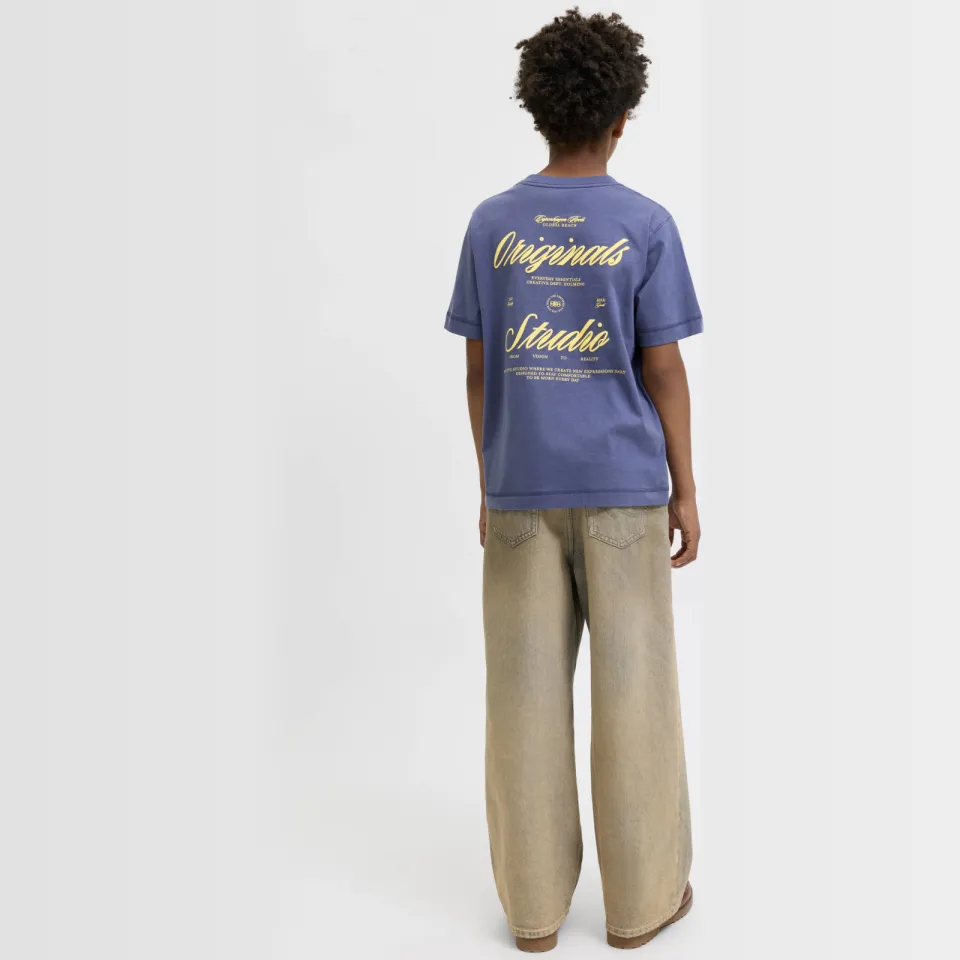 Jack & Jones JORNORREBRO T-shirt met print blauw, foto 5