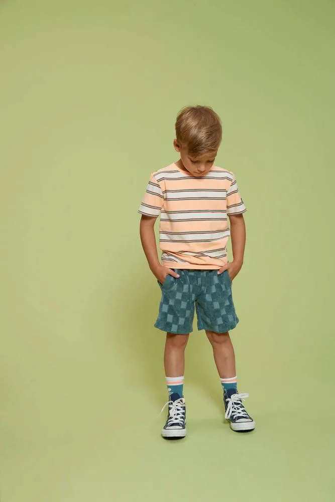 Sturdy Lagoon Legends gestreept t-shirt oranje, foto 4
