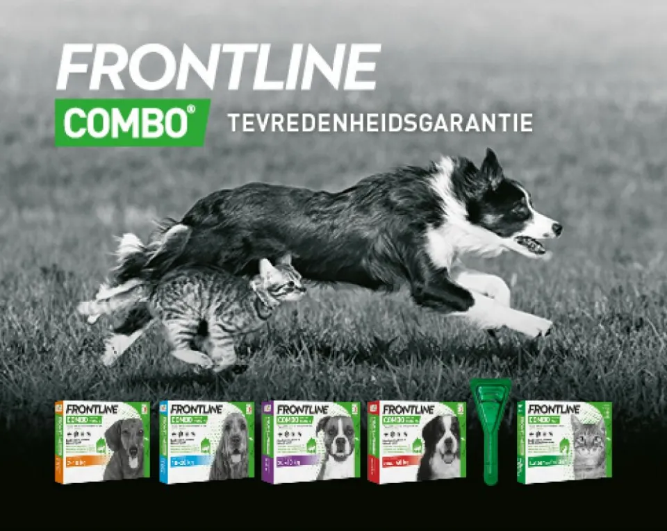 Frontline Combo spot-on kat vlooien- en tekenmiddel, foto 3