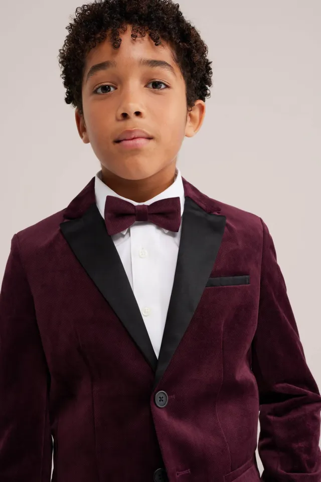 WE Fashion vlinderdas - donkerrood