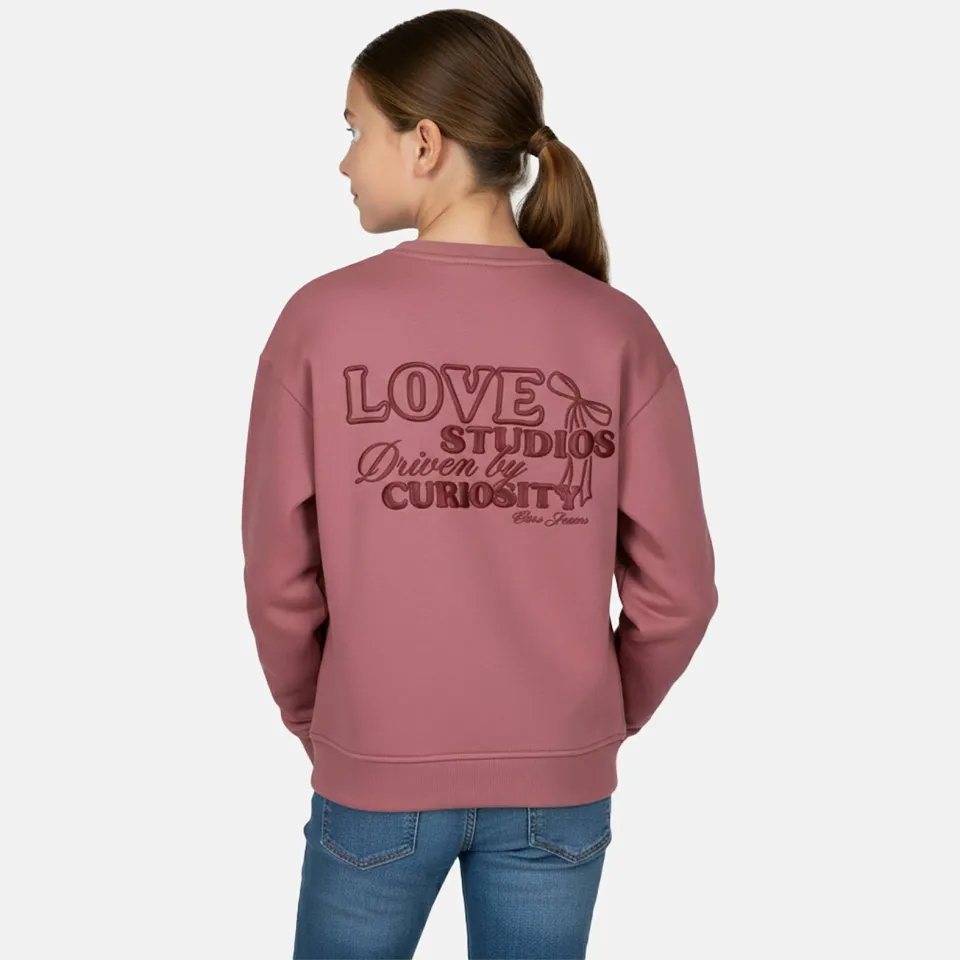 Cars sweater met backprint - oudroze, foto 5