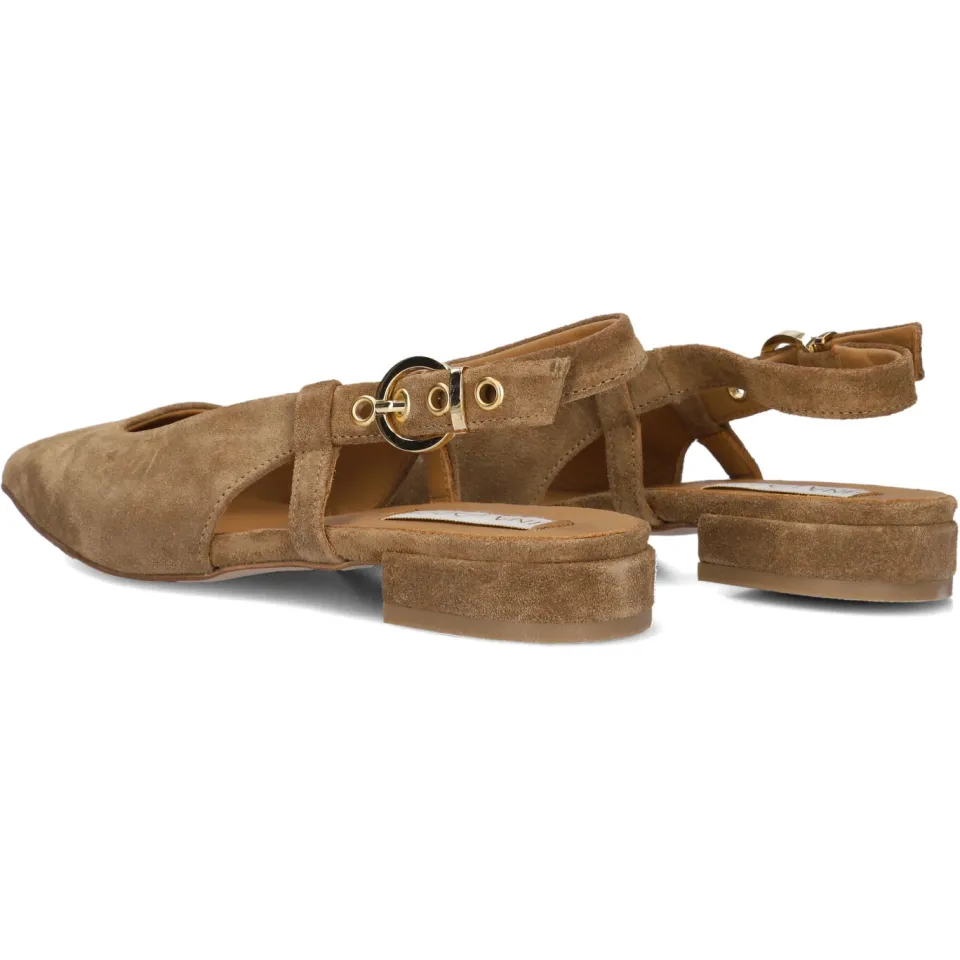 Lina Locchi Hakken Az62 Camel, foto 3