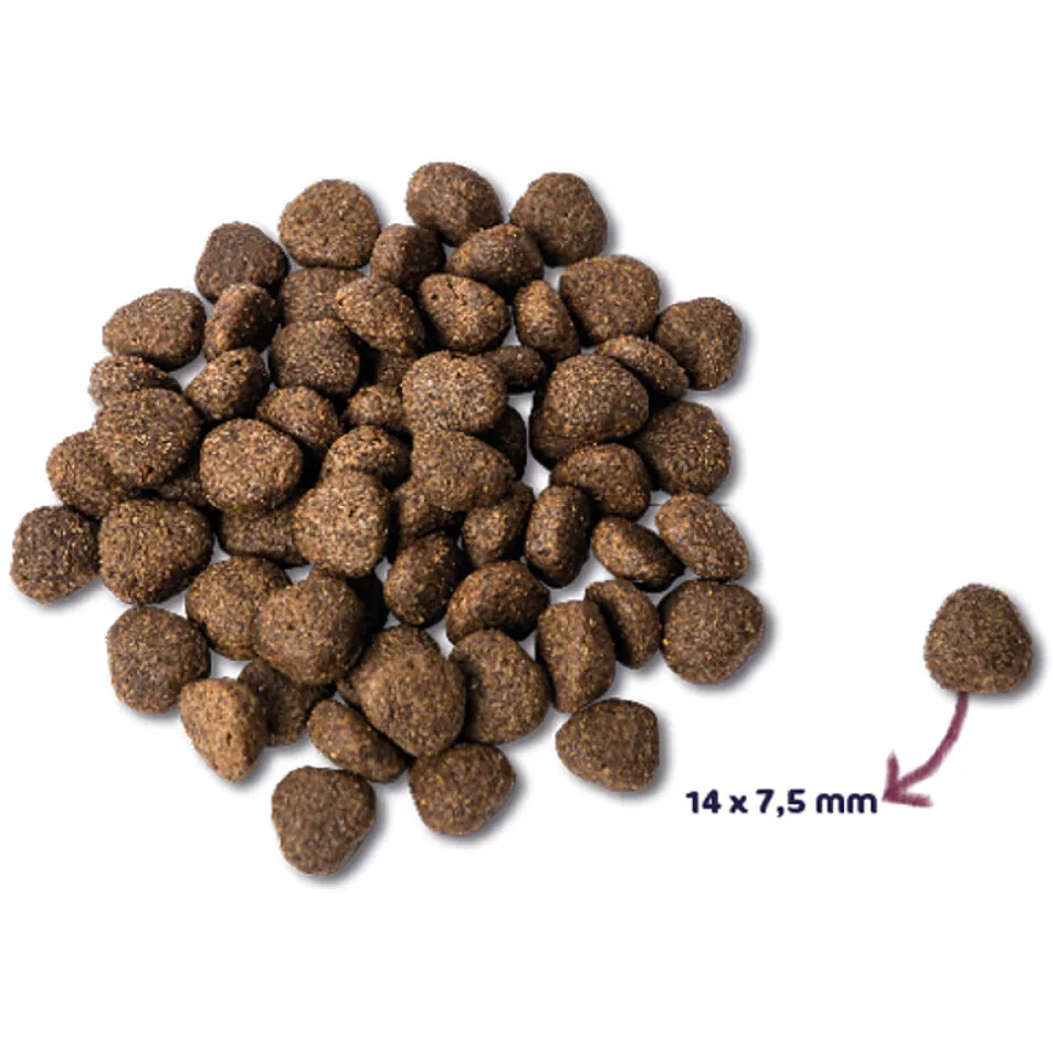 Renske Super Premium graanvrij zalm hondenvoer 2 kg, foto 4