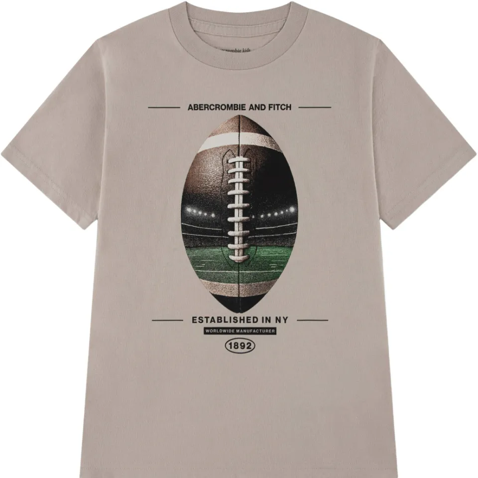 Abercrombie & Fitch t-shirt met print taupe