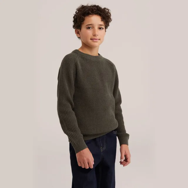 WE Fashion katoenen gebreide trui - olijfgroen