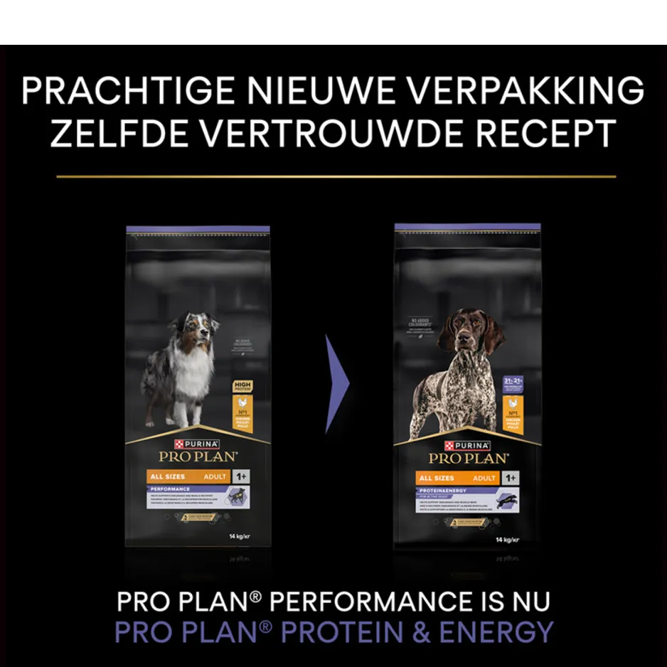 Pro Plan All Sizes Adult Protein & Energy kip hondenvoer, foto 3