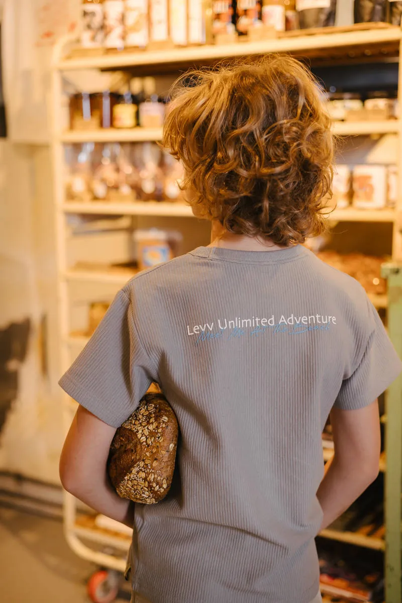 LEVV T-shirt grijs, foto 6