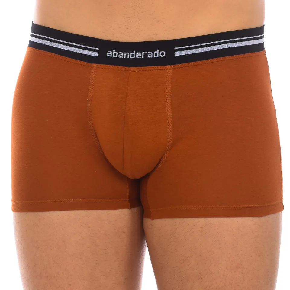 Boxers Abanderado A077I bruin, foto 2