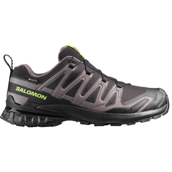 Salomon XA Pro 3D V9 GTX multisportschoen grijs