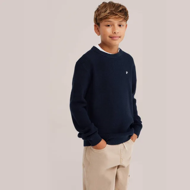 WE Fashion katoenen gebreide trui - donkerblauw
