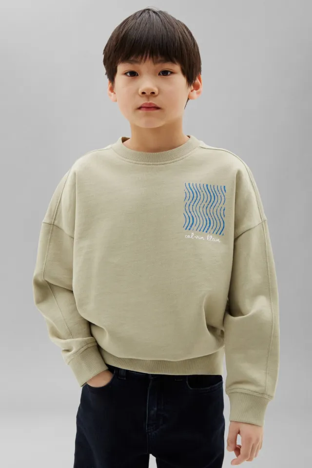 Calvin Klein sweater met print - beige Greige