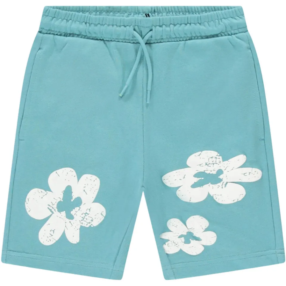 Cars Florian gebloemde sweatshort lichtblauw, foto 2
