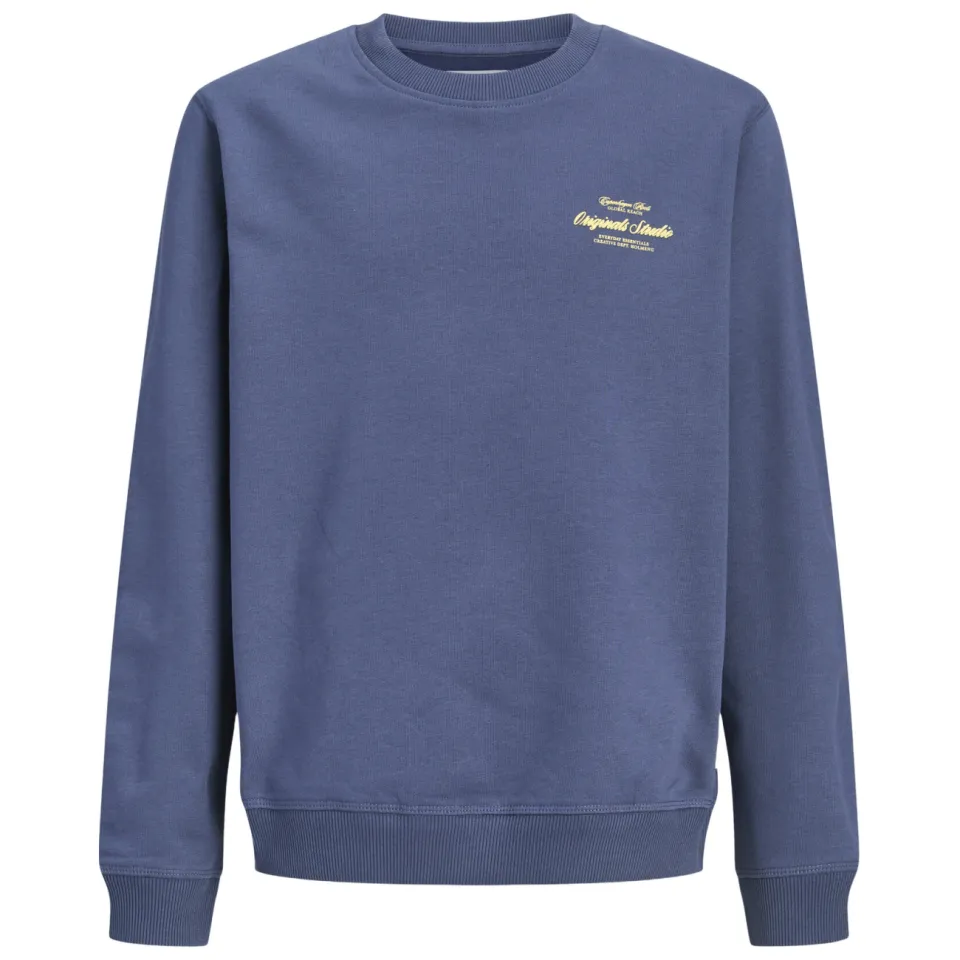 Jack & Jones JUNIOR sweater met backprint - blauw, foto 3