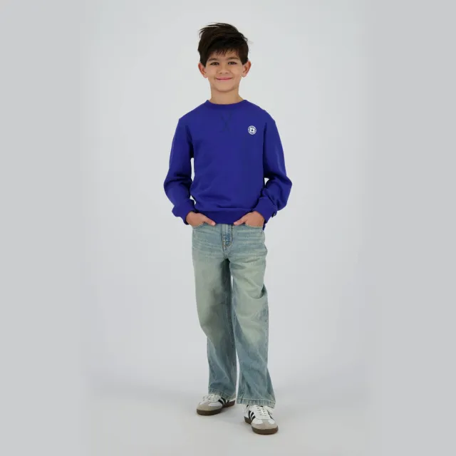 Raizzed sweater blauw Hardblauw