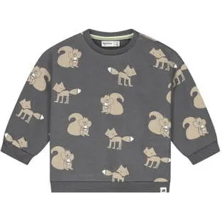 Babyface rechtvallende sweater met print - antraciet Grijs Jongens Katoen Ronde hals