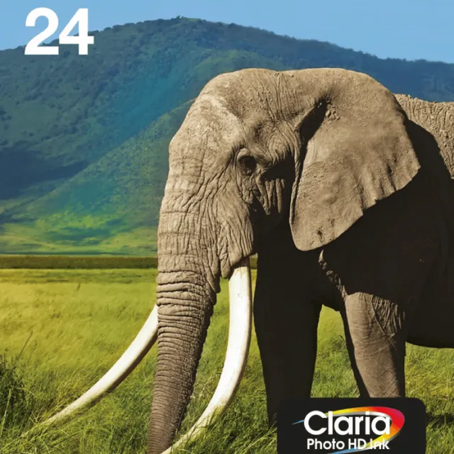 Epson 24, EasyMail (Olifant)