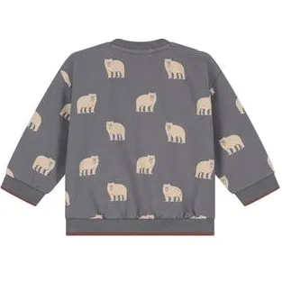Babyface sweater met print - grijs/beige, foto 3