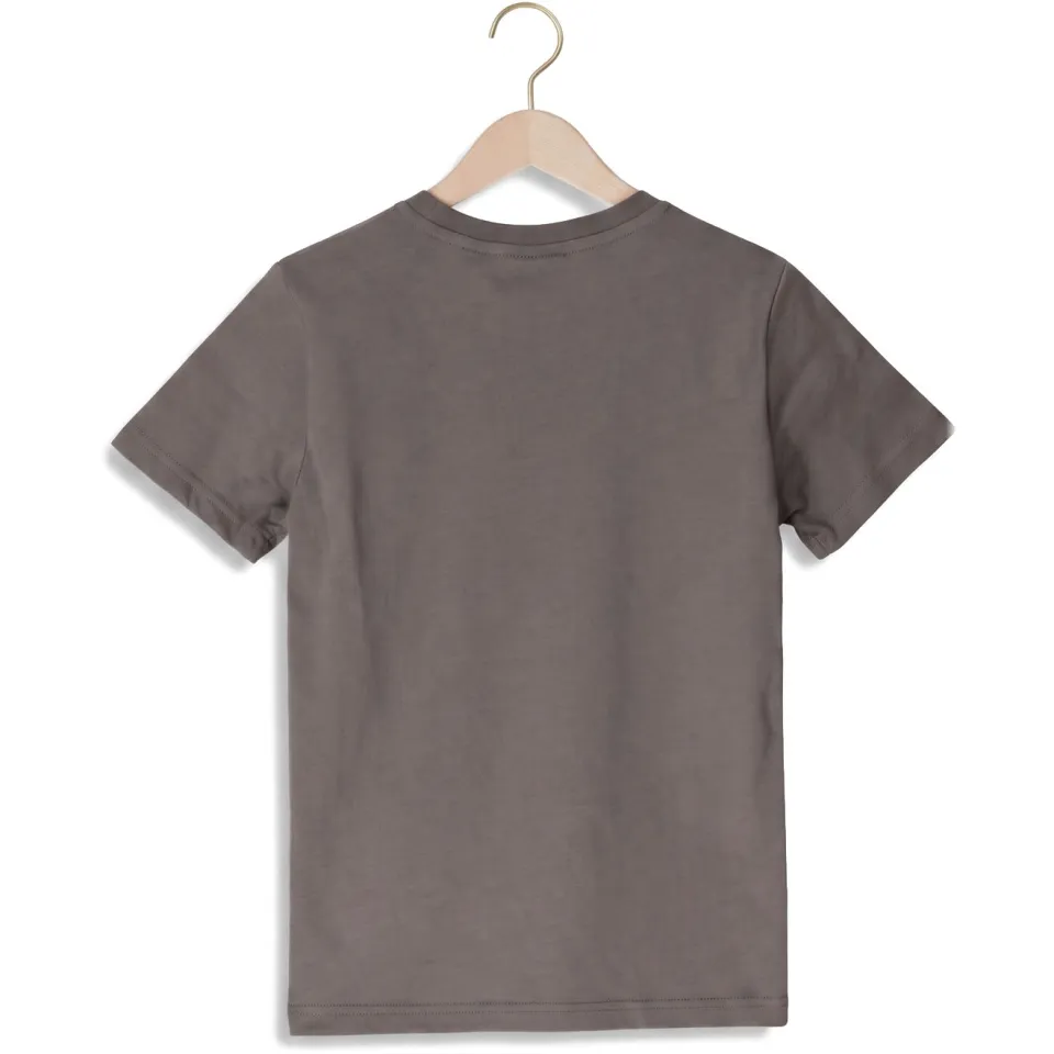 Lyle & Scott T-shirt grijs, foto 3