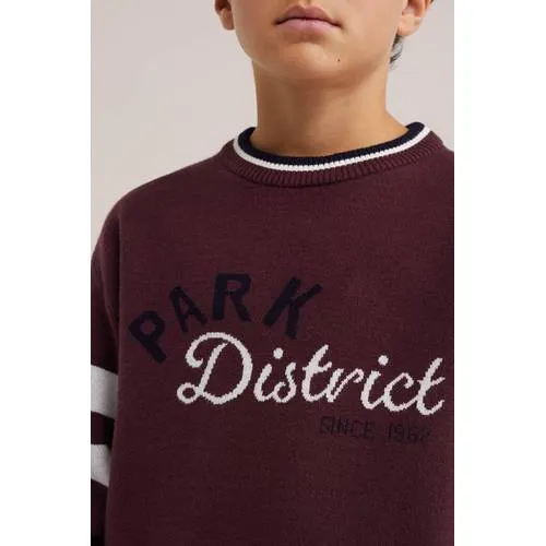WE Fashion gestreepte gebreide trui met tekst - bordeauxrood, foto 5