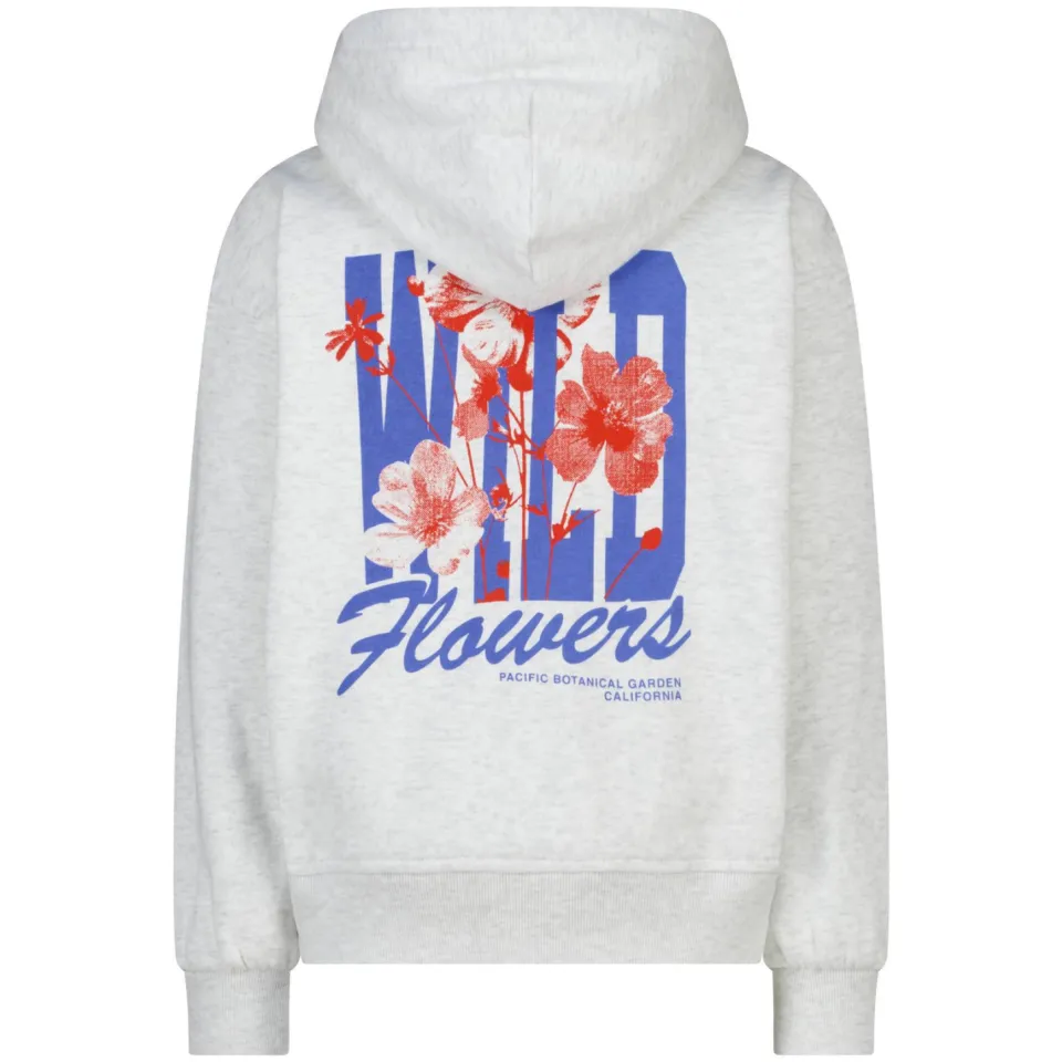 America Today hoodie met backprint - light grey, foto 6