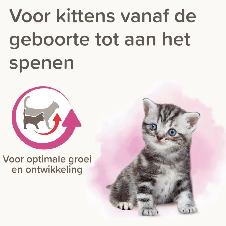 Beaphar Lactol Kitten Milk kittenmelk 500 g, foto 3