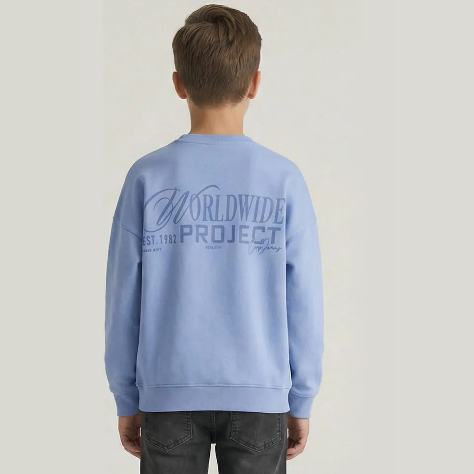 Cars sweater met backprint - lichtblauw, foto 4