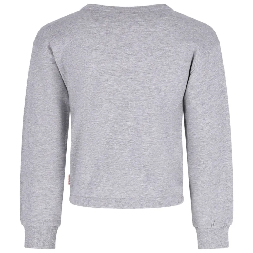 B.Nosy rechtvallende sweater met print - grijs, foto 2