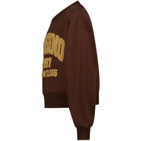 Vingino rechtvallende sweater met logo - donkerbruin, foto 4