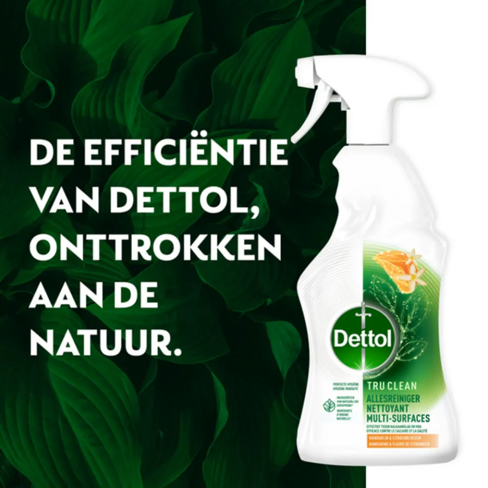 Dettol allesreiniger spray mandarijn & citroenbloesem, foto 3