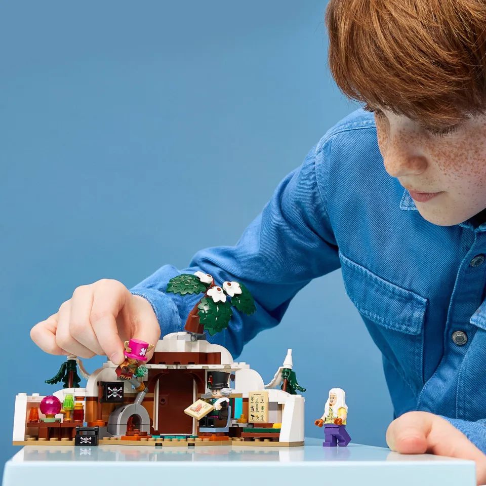 Lego One Piece De Schuilplaats van Dr. Hiriluk Bouwpakket 75641, foto 6