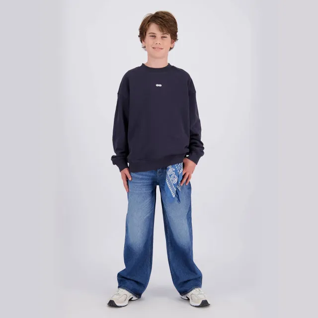 Raizzed Juarez baggy jeans - mediumblauw Vintage Blue