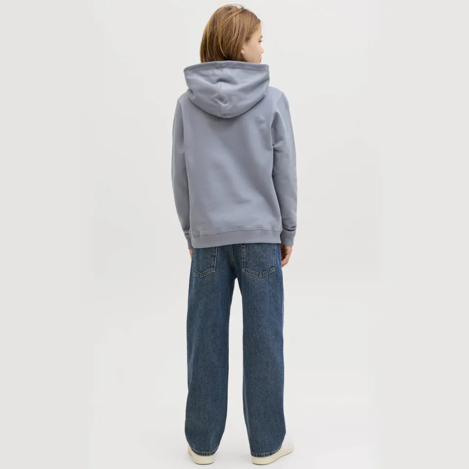 Jack & Jones JUNIOR hoodie lichtblauw grijsblauw, foto 3