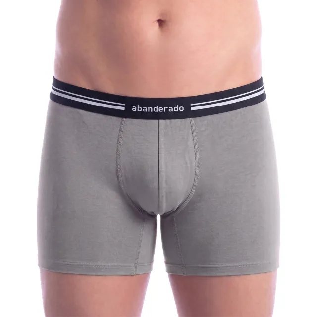 Boxers Abanderado A0F9I grijs