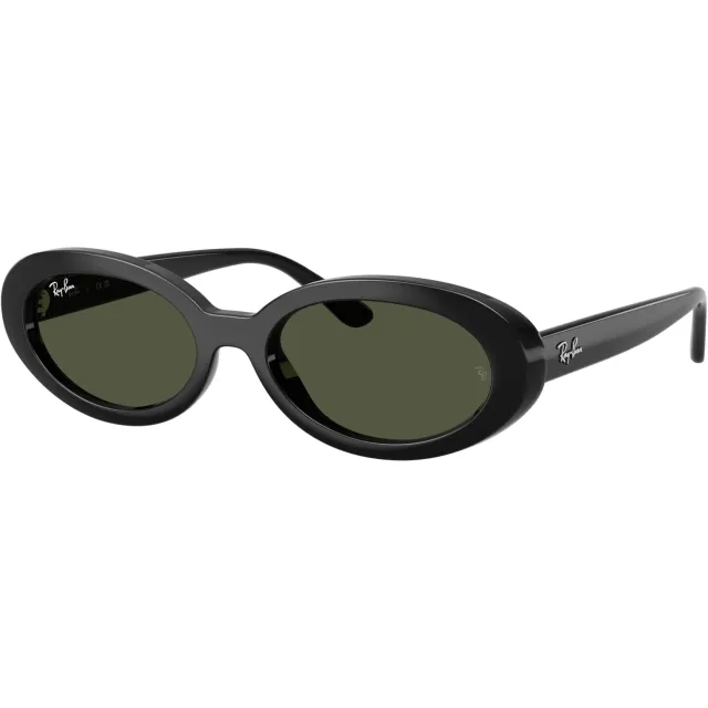 Ray-Ban 0RB2223 zonnebril zwart