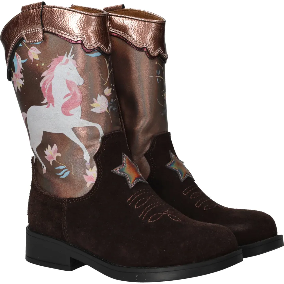 Shoesme cowboylaarzen bruin, foto 3