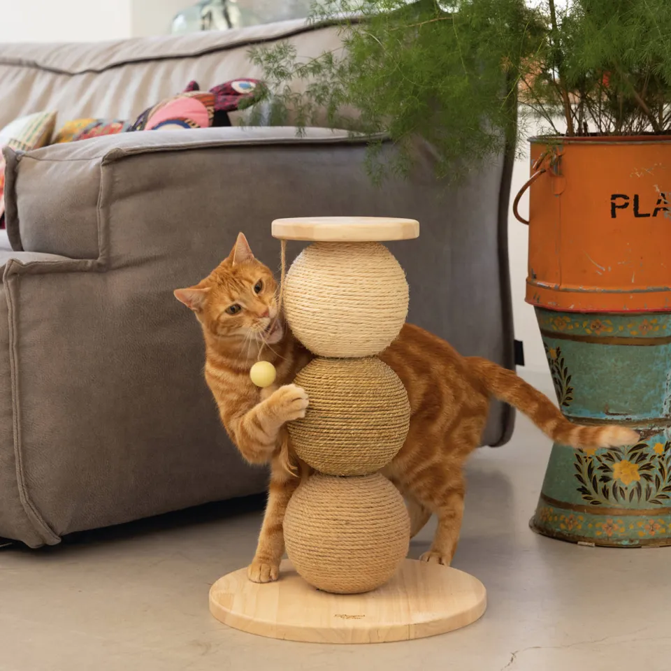 Designed by Lotte Krabbollen Elio hout houtkleur, foto 7