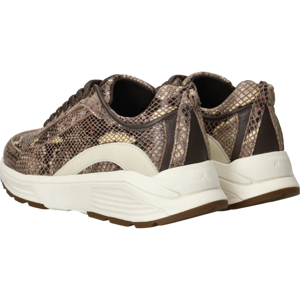 Xsensible Bailey sneaker bruin, foto 5