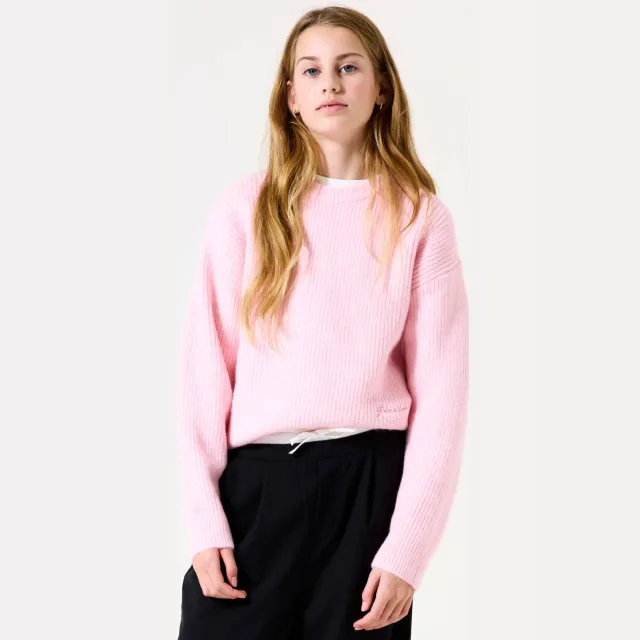 Garcia trui roze rib gebreid