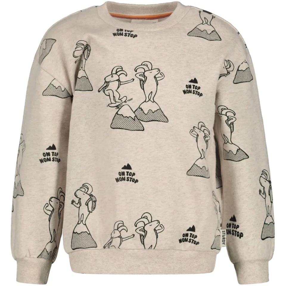 Sturdy relaxed fit sweater Mountain top offwhite/zwart, foto 2