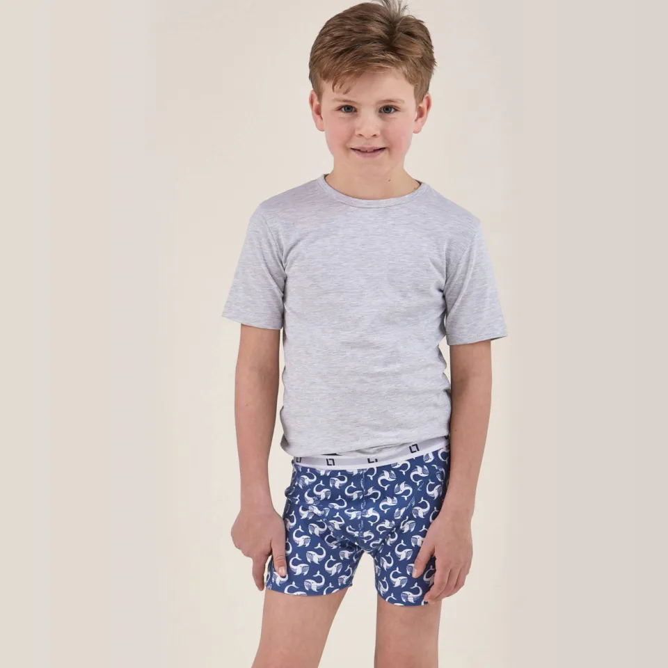 Little Label boxershort blauw set van 5