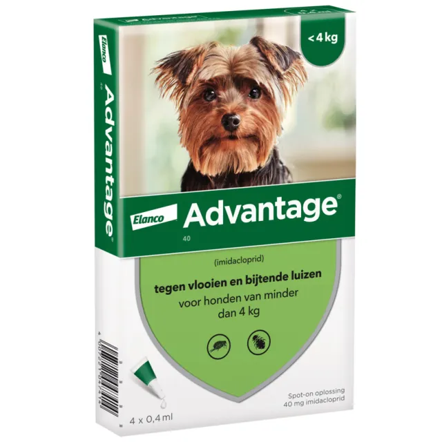 Advantage Anti Vlooiendruppels 40 Hond 1,5 - 4 kg 4 pipetten