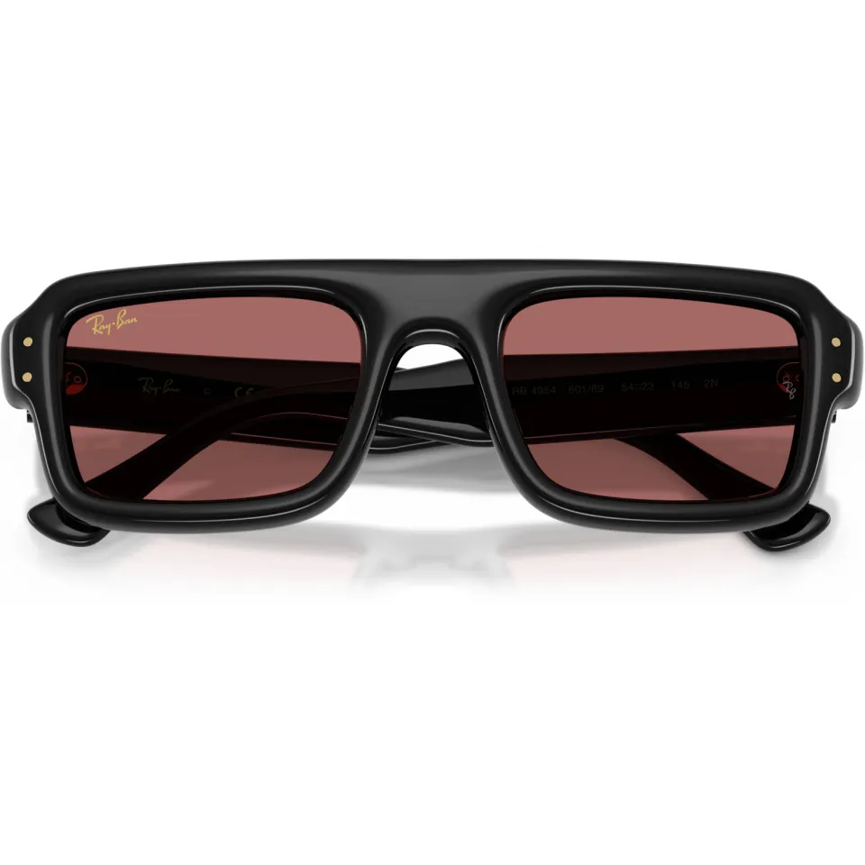 Ray-Ban x A$AP Rocky 0RB4954 zonnebril zwart, foto 5