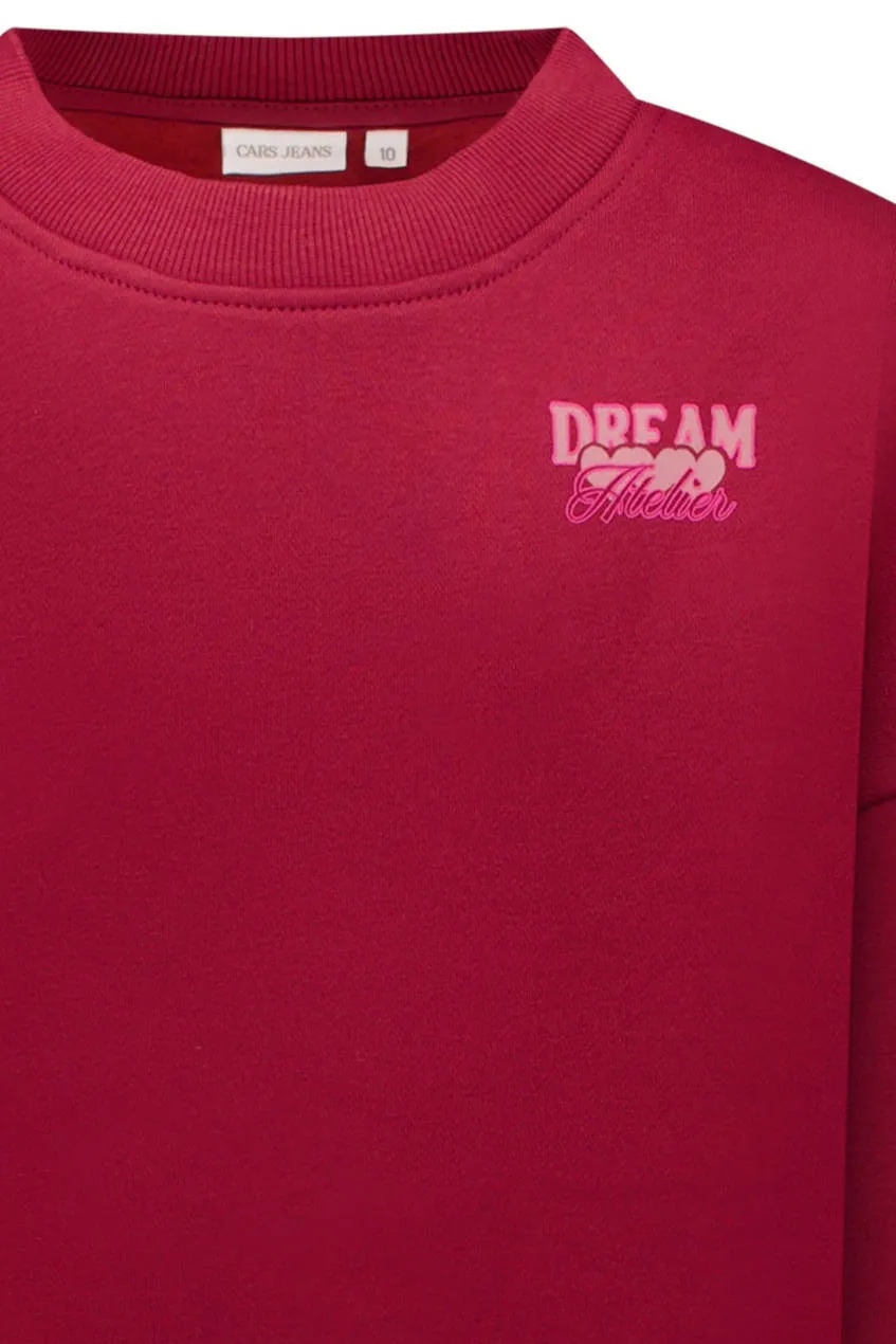 Cars sweater met backprint - donkerrood, foto 3