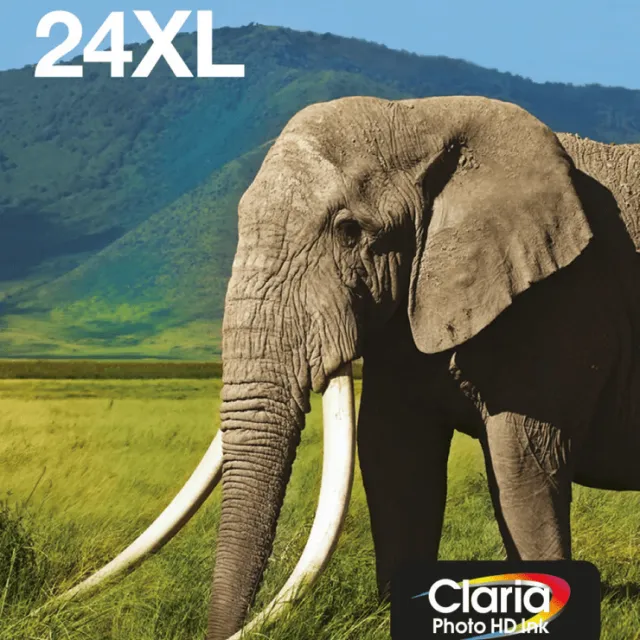 Epson 24XL, EasyMail (Olifant)